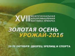 XVIII Межрегиональная выставка-ярмарка "Золотая осень. Урожай-2016"